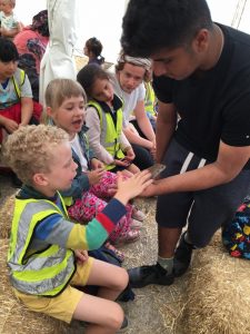 Kids petting reptiles