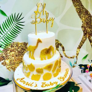 Jungle Themed baby Shower