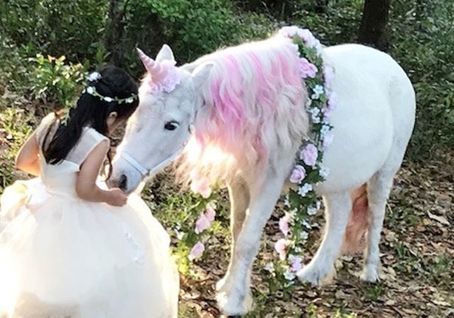 Girl with a pink unicorn